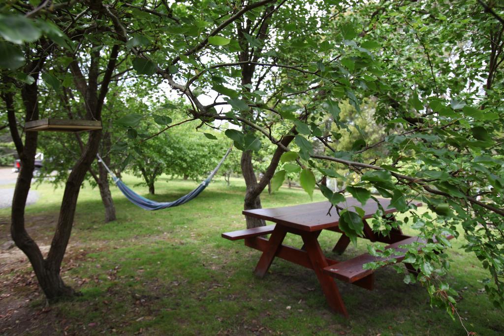 Tranquil Point Pensionat Cygnet Eksteriør billede